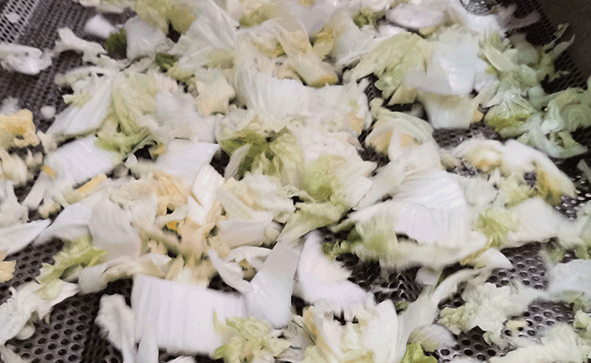 ZW-600氣泡清洗機