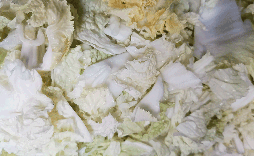 ZW-613D清洗機(渦流震動式)